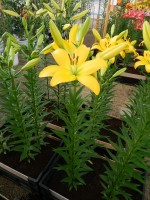 [4020 Cevennes No101.JPG]